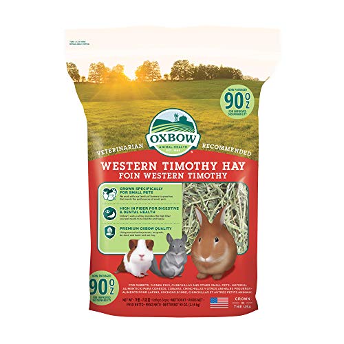 Oxbow Western Timothy Hay, Guinea Pig Hay, Small Pet Bunny Supplies, All Natural Grass for Guinea Pig, Bunny, Chinchilla & Hamster, Oxbow Rabbit