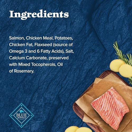 Blue Buffalo Wilderness Trail Treats Crunchy Dog Biscuits, Grain-Free and High-Protein Dog Treats Made with Natural Ingredients, Salmon Recipe 24-oz