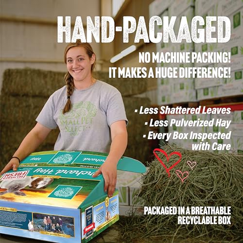 Small Pet Select Orchard Grass Hay Pet Food for Rabbits, Guinea Pigs, Chinchillas and Other Small Animals, Premium Natural Hay Grown in The US, 10 LB