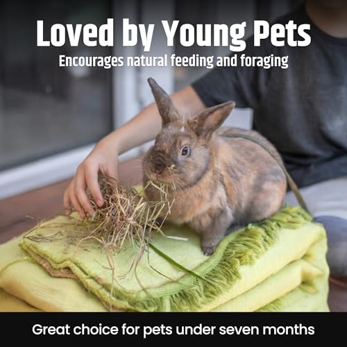 High Desert Alfalfa Hay, Protein Rich Soft Leaf Food for Young Growing Animals, Natural Rabbit Food and Guinea Pig Hay, Supports Digestive Health