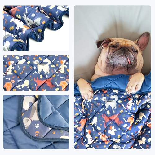 wegreeco Pet Dog Cooling Mat, Outdoor Dog Cooling Pad, Lightweight Bed Cooling Blanket for Dogs and Cats,Small Medium Large Puppy Cool Pad for