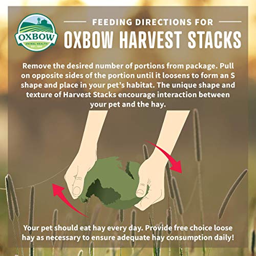 Oxbow Harvest Stacks, Western Timothy Hay with Chamomile, Guinea Pig Hay, Small Pet Bunny Supplies, Western Timothy for Rabbits, Guinea Pigs