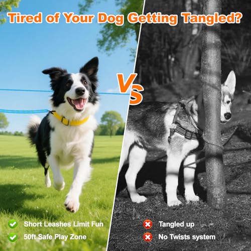 50ft Dog Tie Out Cable, Dog Leash, Long Leash for Dogs Outside, Lead for Camping, Tether for Yard, Line (Blue)