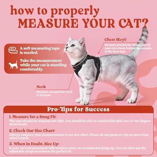 rabbitgoo Cat Harness and Leash for Walking, Escape Proof Soft Adjustable Vest Harnesses for Cats, Easy Control Breathable Reflective Strips Jacket