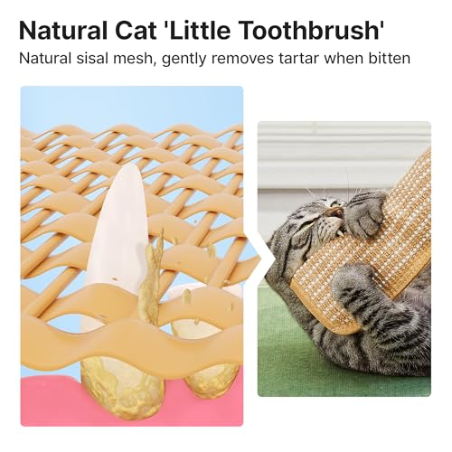 Potaroma Cat Toys Pack of 2 with 6000mg A+ Organic Catnip, Soft Sisal Material Indoor Kitten Scratching and Kicker Toys, Drives Bored Cats Crazy with