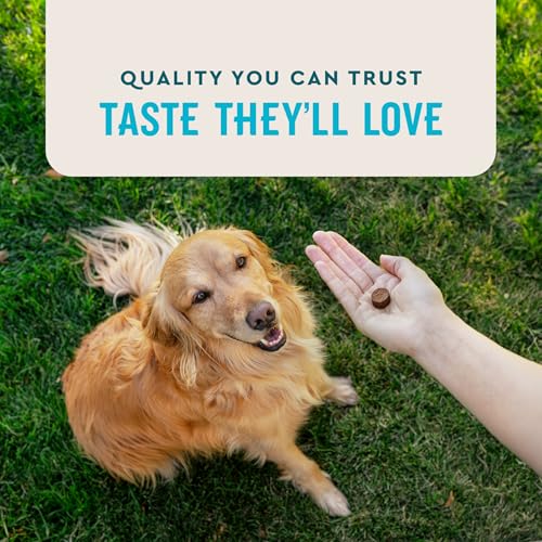 VetIQ Glucosamine Hip & Joint Supplement for Dogs, 180 Soft Chews, Joint Support Supplement with MSM and Krill, Dog Health Supplies Large & Small