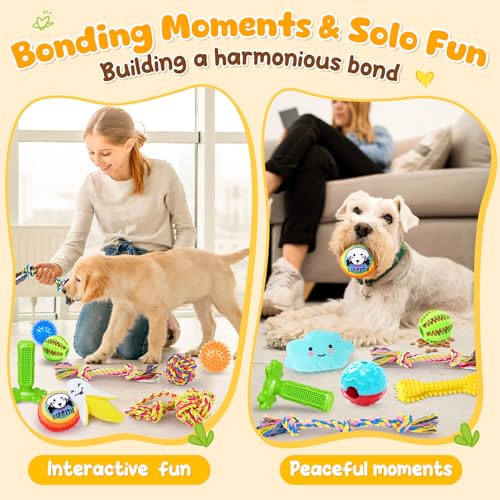 KIPRITII 25 Pack Various Dog Toys Set – Ideal for Teething, Entertainment & Interactive Play, Includes Puppy Toys, Rope Toys, Treat Balls and Squeaky