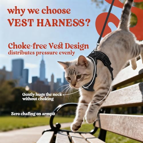 rabbitgoo Cat Harness and Leash for Walking, Escape Proof Soft Adjustable Vest Harnesses for Cats, Easy Control Breathable Reflective Strips Jacket