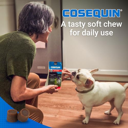Nutramax Cosequin for Small Dogs, Joint Health Supplement, Contains Glucosamines, Chondroitin, MSM and Omega-3s, Supports Joint and Skin and Coat