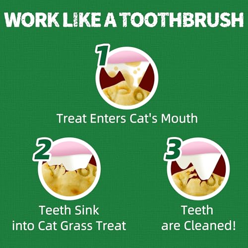 Just Try Cat Treats for Indoor Cats Hairball Control Natural Salmon Healthy Cat Grass Treats Kitten Snacks Training Biscuits Catnip for Cats Dental