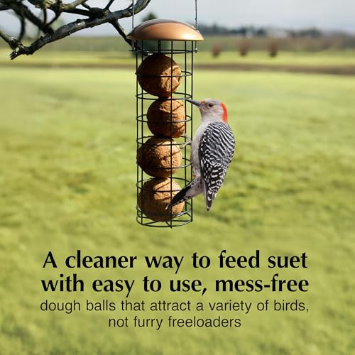 C&S Peanut Delight No Melt Dough Balls for Wild Birds Including Woodpeckers and Blue Jays, Pack of 4