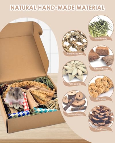Bissap Rabbit Chew Toy, Natural Bunny Treats Snacks with Timothy Hay Water Grass Mat Coconut Husk Box for Guinea Pigs Chinchillas Hamsters Gerbils