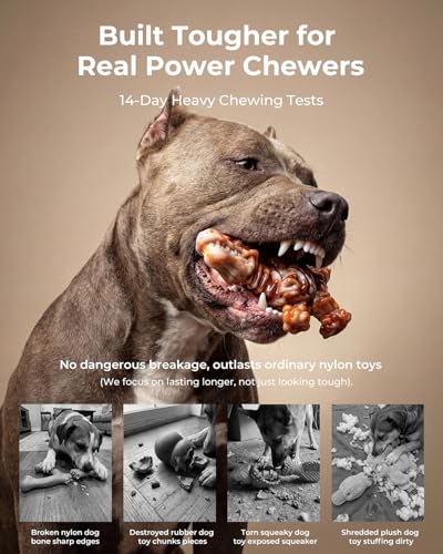 2 Pack Indestructible Dog Chew Toys for Aggressive Chewers: Ultra-Dense Nylon, Bacon Flavor Chew Bones, Heavy Duty Tough Toys for Large Dogs 20-90