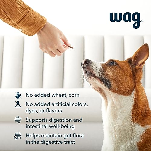 Brand - Wag Probiotic Supplement Chews for Dogs, Supports Digestive Health and Gut Flora, Natural Duck Flavor, 160 Count, Pack of 1