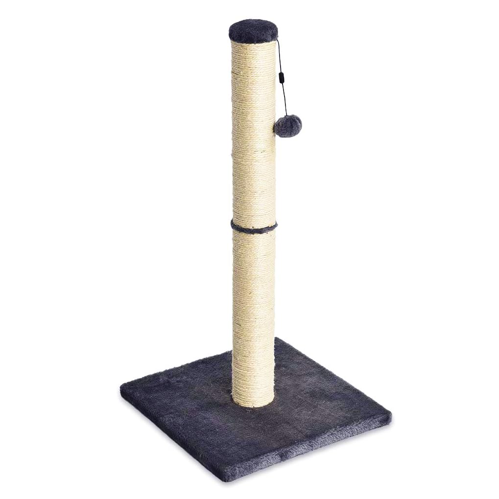 Basics Cat Scratching Post for Indoor Cats & Kittens, Medium (31.5"H), Cat Furniture with Dangling Ball Toy, Grey