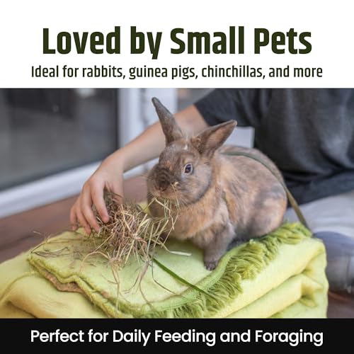 High Desert 2nd Cutting Timothy Hay for Rabbits, Guinea Pigs, Chinchillas and Small Pets, Soft Leafy for Daily Feeding and Digestive Health, Natural
