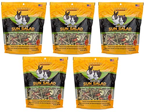 Sun Salad For Rabbits