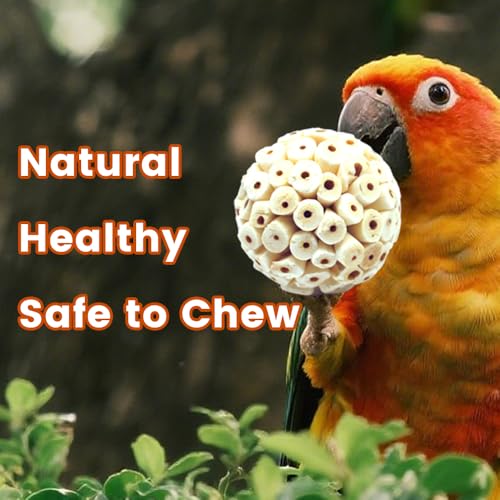 4PCS Bird Toys Sola Balls 2.36'' - Bird Foraging Toy, Sola Atta Ball, Parrot Chew Shred Toy for Sharpening Claws & Beaks for Cockatiel, Parakeets