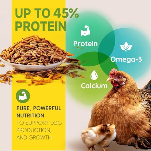 5LB Non-GMO Dried Black Soldier Fly Larvae for Chickens 45% Protein High Calcium Chicken Feed Alternative to Mealworms, Dried BSF Larvae Chicken