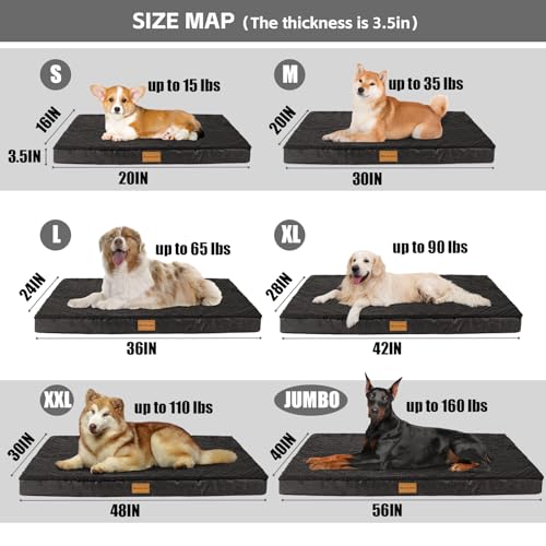 Patas Lague Orthopedic Dog Bed Large Sized Dog 36''X24'',Soft Waterproof Egg Crate Foam Medium Pet Crate Beds Mat with Removable Washable Cover and Non-Slip Bottom, Black
