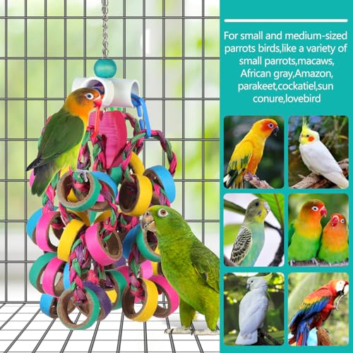 lovyoCoCo Bird Toys Conure Toys,Bird Parrot Foraging Shredder 24 Pcs Colorful Bagel Chewy Rings for Small Parrots Parakeets Conures Cockatiels Love