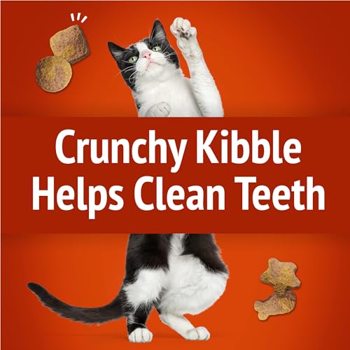 Purina Friskies Party Mix Gravy-Licious Crunch Chicken and Gravy Flavors Cat Treats - 30 oz Canister