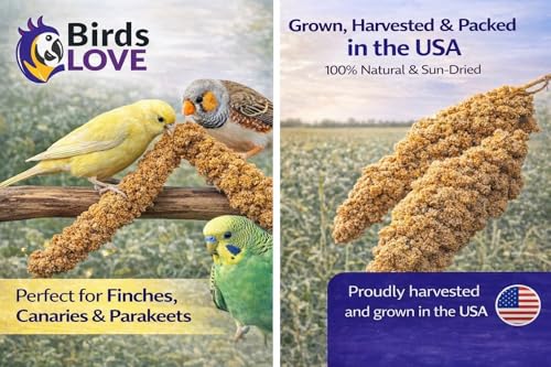 Birds LOVE Millet Tips & Tails for Birds - Parakeets, Cockatiels, Lovebirds, Finches, Budgies, Canaries, Cockatoos - Natural & Healthy Millet for