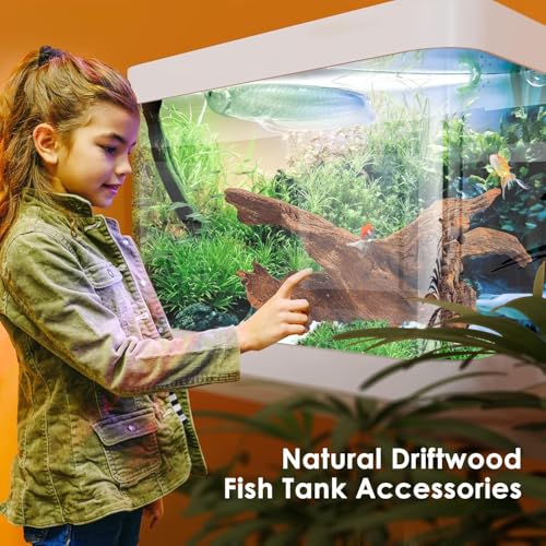 Jorewood Natural Small Aquarium Driftwood for Fish Tanks & Reptile Terrariums – 100% Safe Fish Tank Decorations, Unique Twisted Branches 5-Piece 4-8