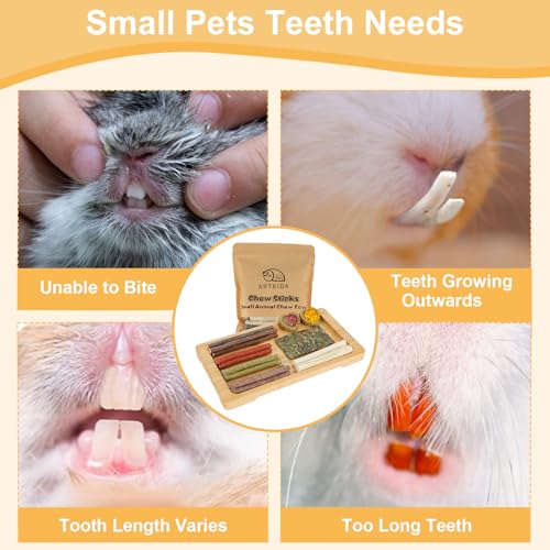 65PCS Rabbit Bunny Guinea Pig Chew Toys Treats, Chinchilla Hamster Chews Toys for Teeth, Timothy Hay Chips Treats Sticks for Rabbit Guinea Pig