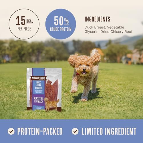 Waggin' Train Duck Jerky Dog Treats for Dogs with Sensitive Stomachs, Made with 100% Real Duck Breasts, Three All-Natural Ingredients, High Protein