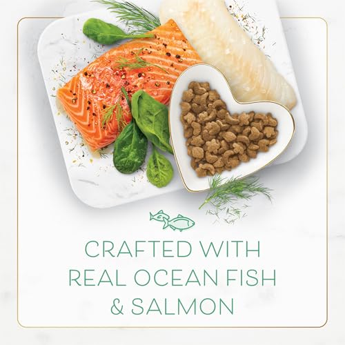 Purina Fancy Feast Dry Cat Food With Ocean Fish, Salmon, and Garden Greens Accents - 7 lb. Bag