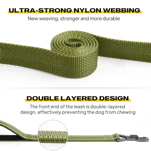 Fida 4 FT Heavy Duty Dog Leash with 2 Comfortable Padded Handles, Traffic Handle & Advanced Easy Snap Hook, Reflective Walking Lead for Large, Medium