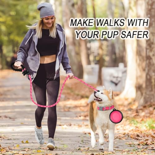 BARKBAY Dog Leashes for Large Dogs Heavy Duty Dog Leash 4/5/6 FT with Comfortable Padded Handle and Highly Reflective Threads for Medium Large Dogs