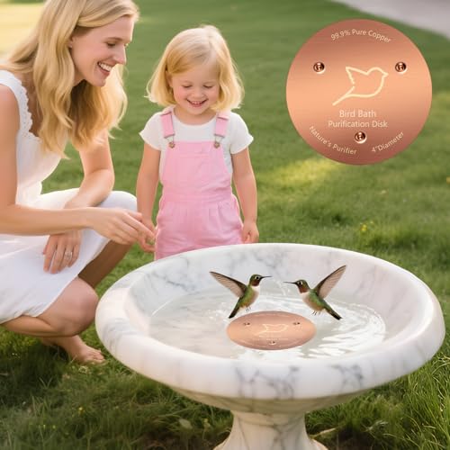 NNG 1 Pack Bird Bath Copper Disk,0.6mm Thick Reinforced 99.9% Pure Copper Bird Bath Purification Disk with Triple-Point Support,Physical Safe Water