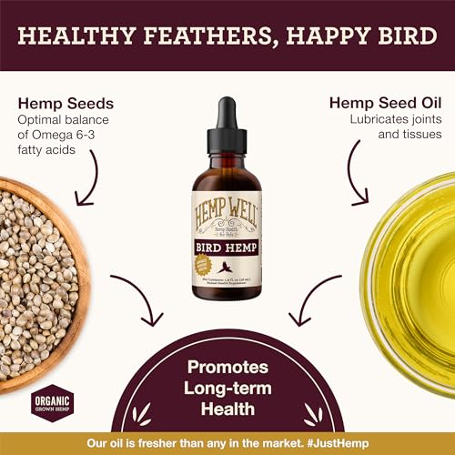 Organic Hemp Well Bird Hemp Oil – 2 Ounces. Parrot, Parakeet, Cockatiel and All Birds for Supporting Health, Feather Plucking, Destructive Behavior