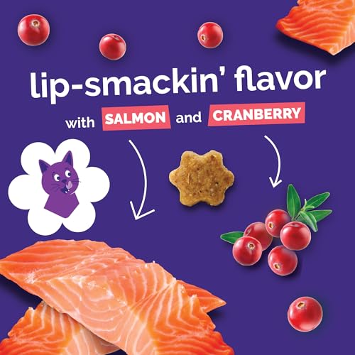 Fruitables Cat Treats - Crunchy Treats for Cats - Healthy Low Calories Packed with Protein - Free of Wheat, Corn and Soy - Made with Real Salmon