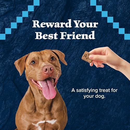 Blue Buffalo Wilderness Trail Treats Crunchy Dog Biscuits, Grain-Free and High-Protein Dog Treats Made with Natural Ingredients, Salmon Recipe 24-oz