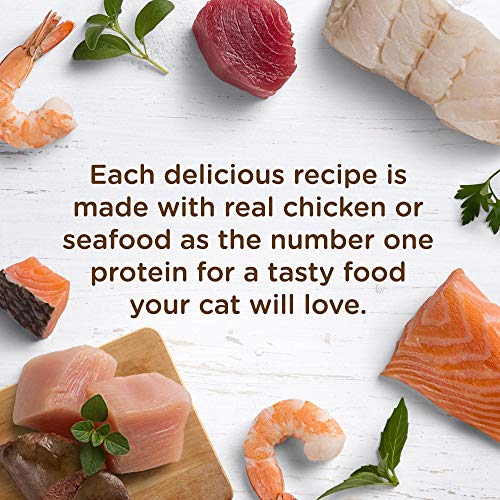 Nutrish Grain Free Wet Cat Food Tuna Purrfection Whole Health Blend with Real Tuna Flakes in a Savory Sauce, 2.8 oz. Cup, Pack of 12 (Rachael Ray)