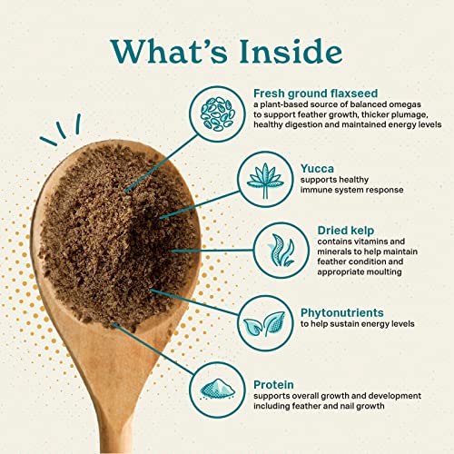 The Missing Link Avian Color & Shine Superfood Supplement Powder for Captive Birds - Flaxseed, Yucca, Kelp, Phytonutrients & Protein - Supports