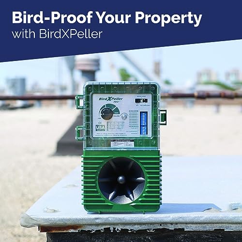 Bird-X BirdXPeller Pro Electronic Bird Preventer Version 1, Sonic Bird Decoy Device, Perfect for Pigeons, Starlings, Sparrows, and Gulls, Covers up