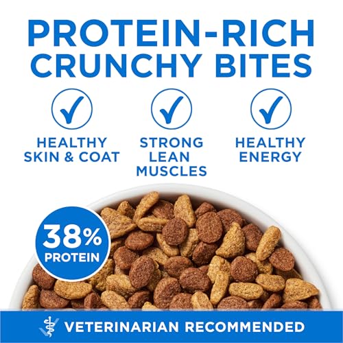 Purina ONE Plus High Protein Cat Food Dry Salmon and Ocean Whitefish Cat Skin and Coat Health Formula - 3.5 lb. Bag