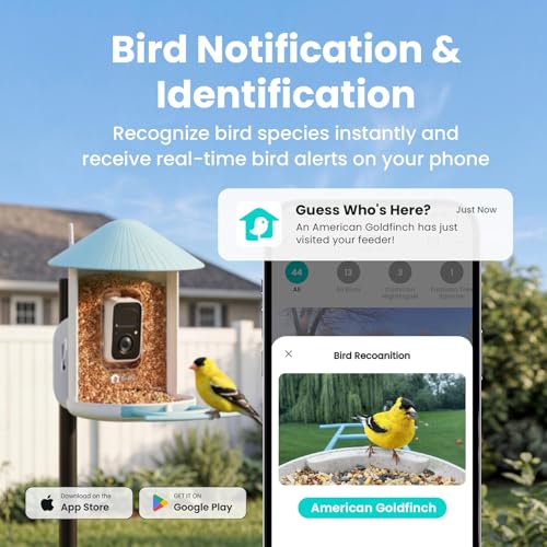 NETVUE by Birdfy Smart Bird Feeder with 2K HD AI Camera Solar Powered, Wireless Wildbird Watching, Live Stream&Color Night Vision, Auto-Capture