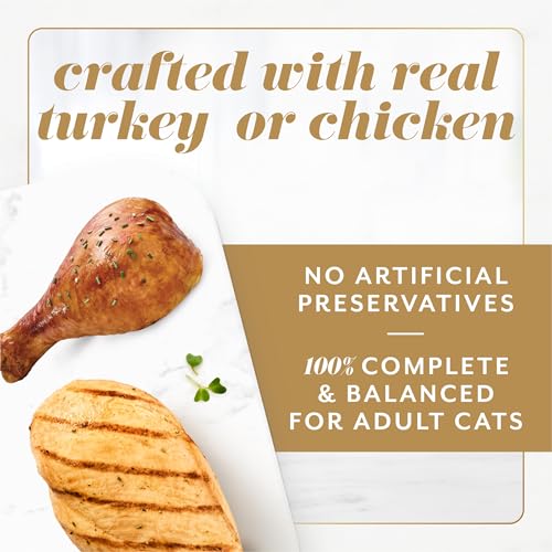 Purina Fancy Feast Gems Pate Mousse with Turkey and with Chicken Wet Cat Food Variety Pack - 4 oz. (Pack of 16)
