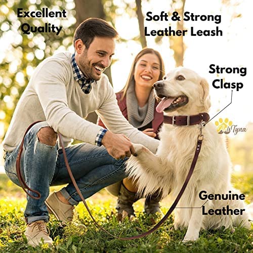 ADITYNA Leather Dog Leash 6 ft x 3/4 inch - Soft, Strong, Heavy Duty for Large & Medium Breeds - Dog Lead for Walking, Training, Hiking and Running