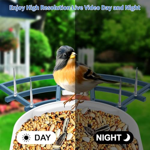 Bird Feeder with Camera,AI Identify Birds Species,Smart Bird Camera with Solar Powered,Auto Record FHD Birds Video in Backyard,Instant