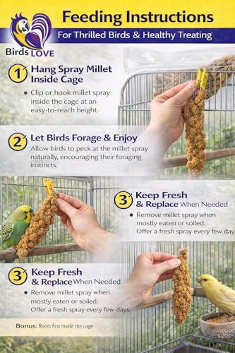 Birds LOVE Millet Tips & Tails for Birds - Parakeets, Cockatiels, Lovebirds, Finches, Budgies, Canaries, Cockatoos - Natural & Healthy Millet for