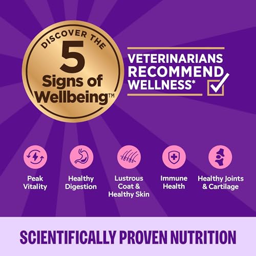 Wellness Complete Health Pate Variety Pack Kitten Canned Wet Cat Food, Natural, Protein Rich, Grain Free, Whitefish and Chicken Recipes, 3 oz, Pack