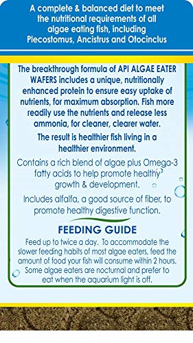 API ALGAE EATER WAFERS Algae Wafer Fish Food 6.4-Ounce Container