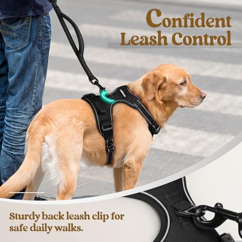 rabbitgoo Dog Harness No Pull with 2 Leash Clips, Adjustable Soft Padded, Reflective Oxford No Choke Pet Vest with Easy Control Handle for Large