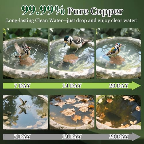 Bird Bath Copper Disk, 99.9% Pure Copper Cleaner Disc Plate 0.6mm Reinforced for Outside Physical Safe Water Purification Bird Bowls Birdbaths Solar